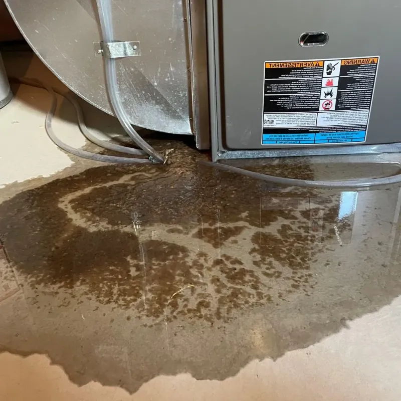 Pipe Burst and Leak Restoration in Stanton County, KS